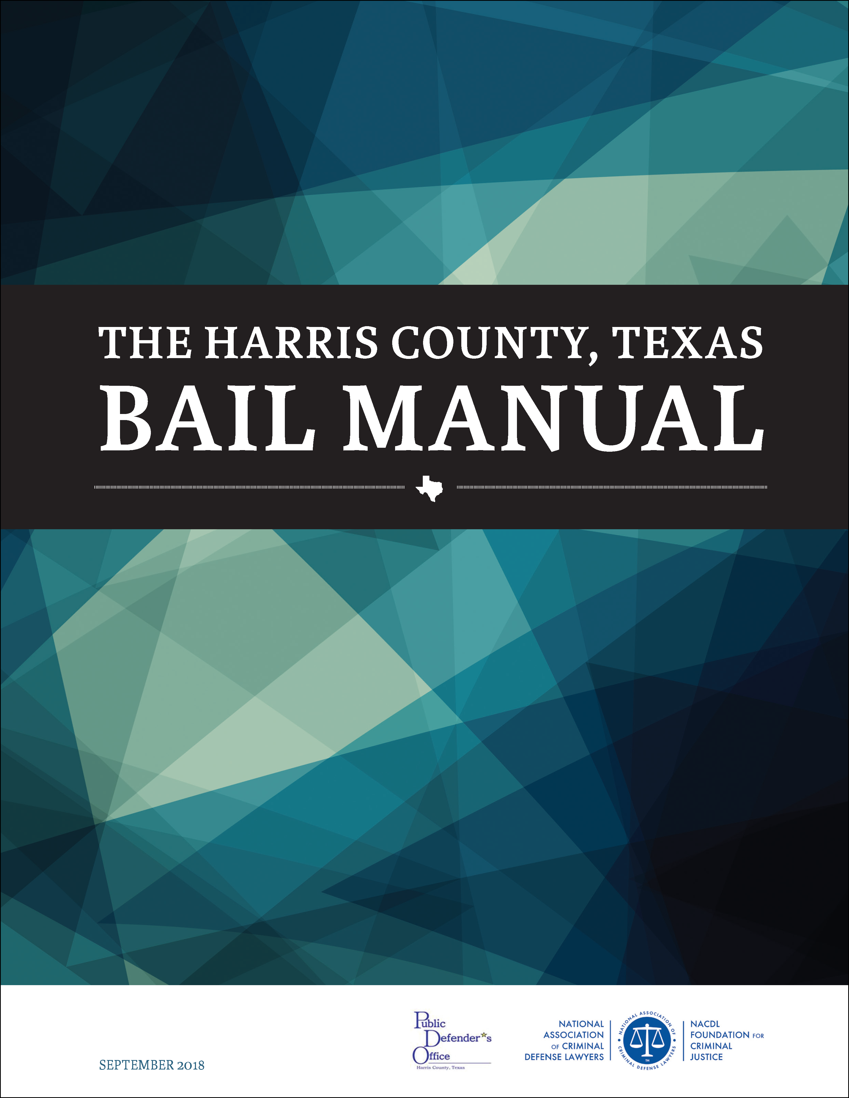Harris County Pretrial Advocacy Cover