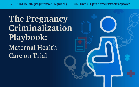The Pregnancy Criminalization Playbook: Maternal Health Care on Trial Cover