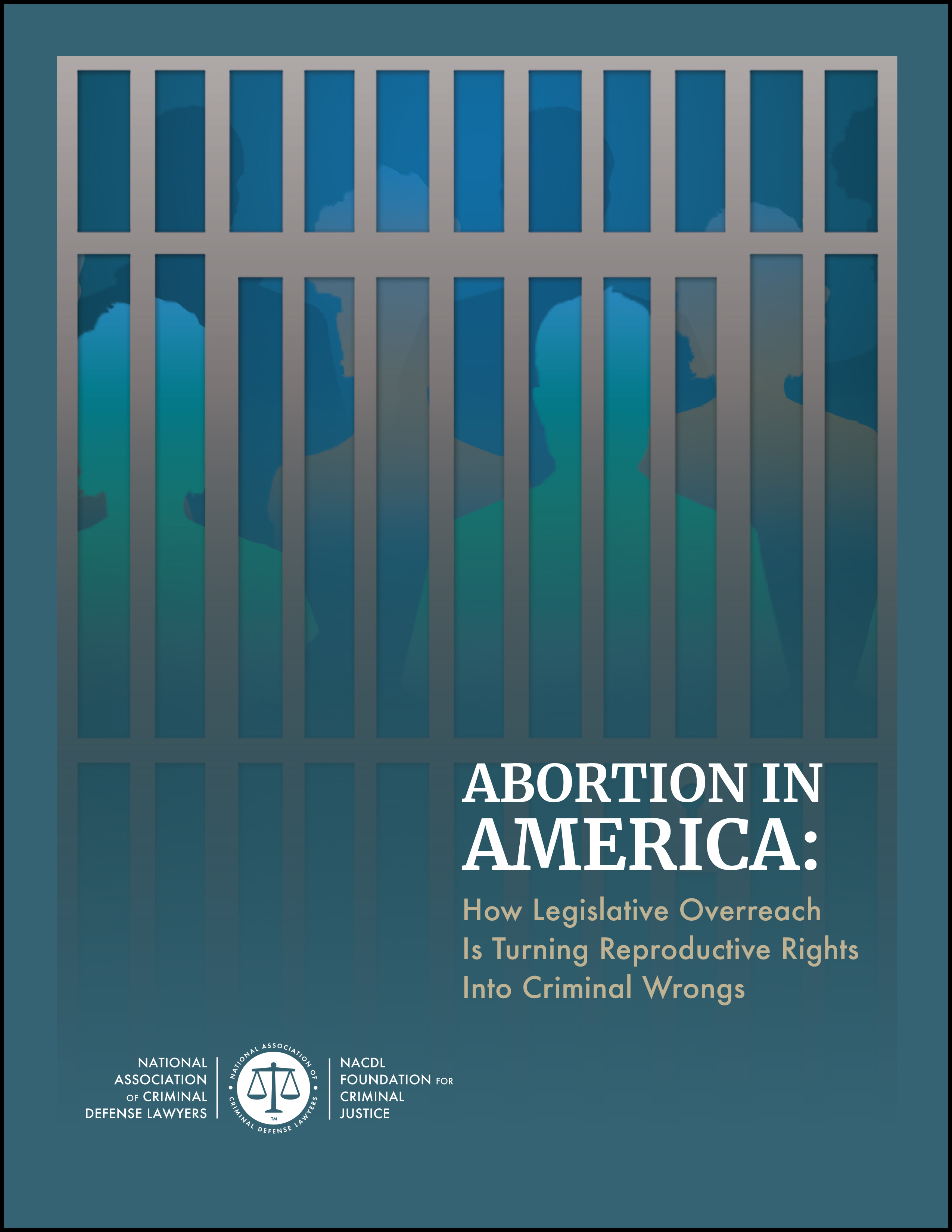 Abortion in America: How Legislative Overreach Is Turning Reproductive Rights Into Criminal Wrongs Cover