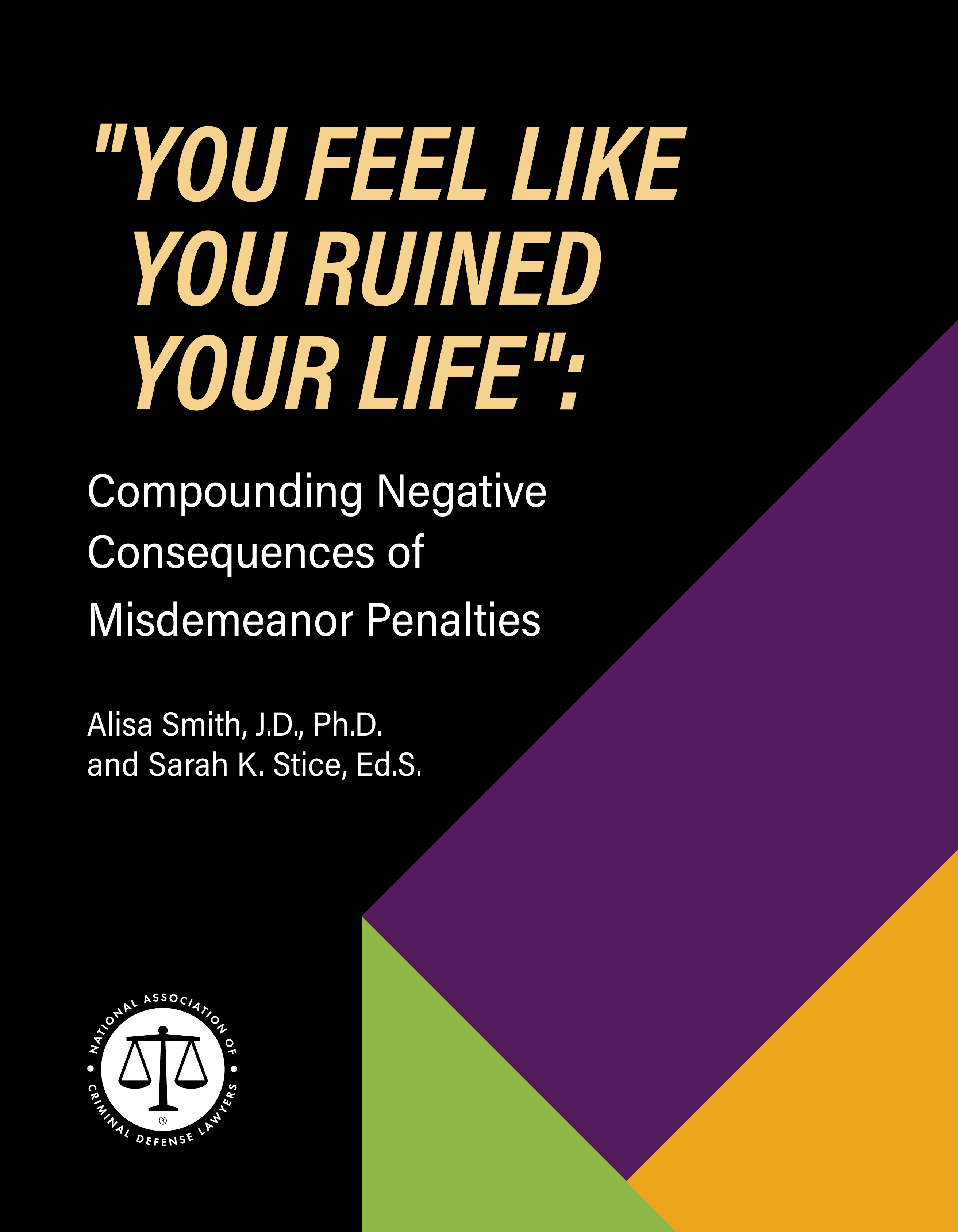 Report cover: “You Feel Like You Ruined Your Life”: The Compounding Negative Consequences of Misdemeanor Penalties