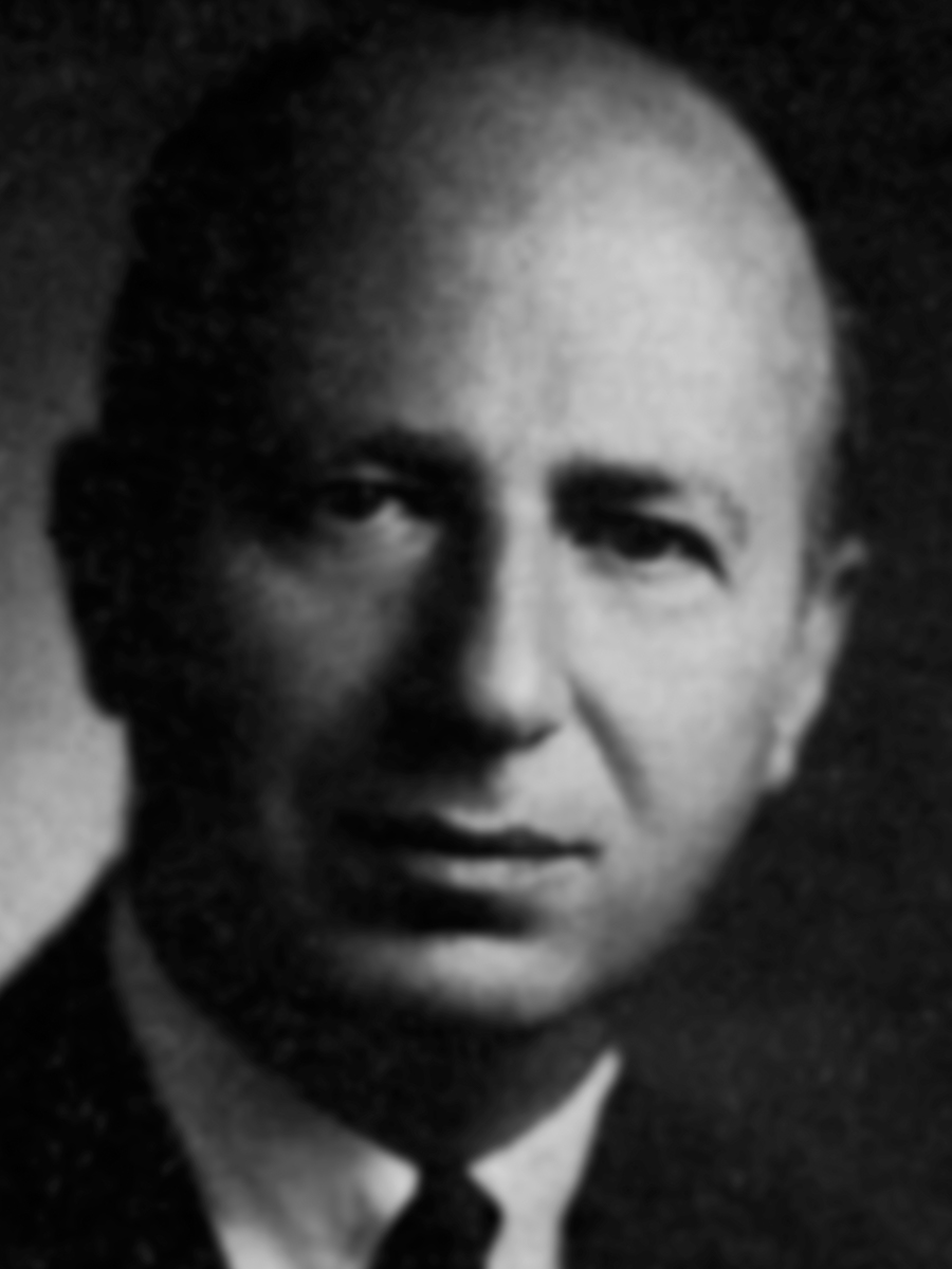 Harris Steinberg Photo